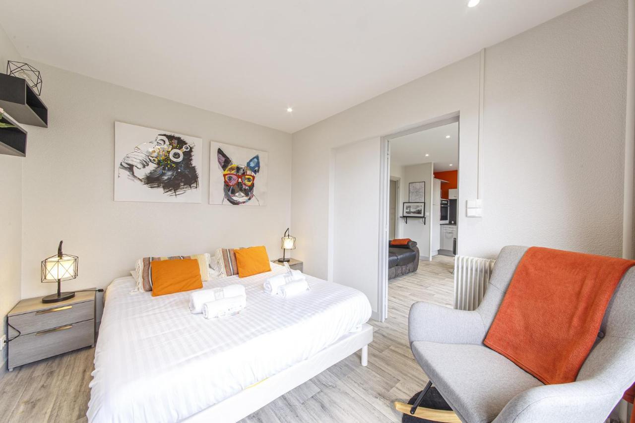 Chic Appartement Vue Sur Parc Au Calme Анже Экстерьер фото